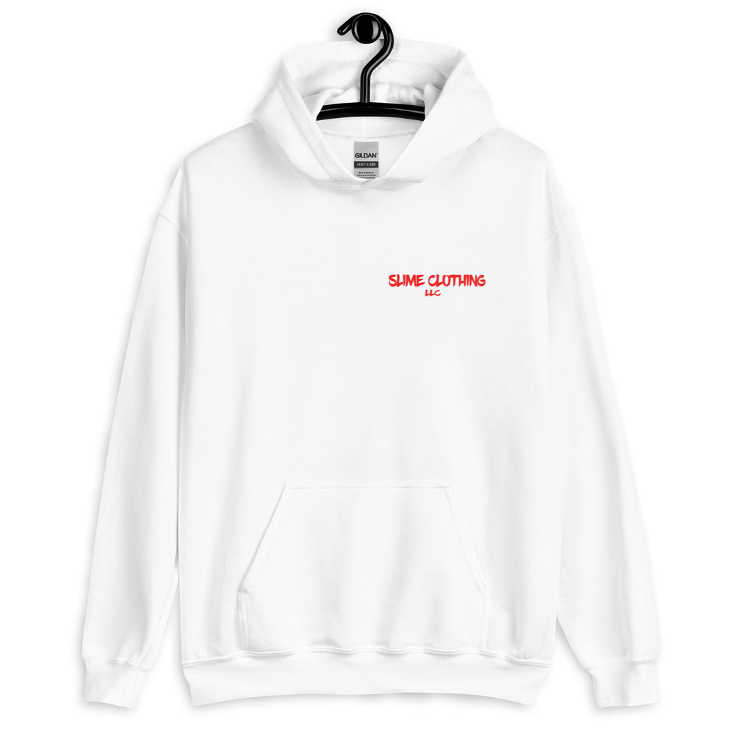 RFLWI Hoodie